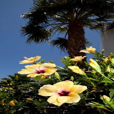 Playa Blanca Sleeps 4 Pool Wifi Villa